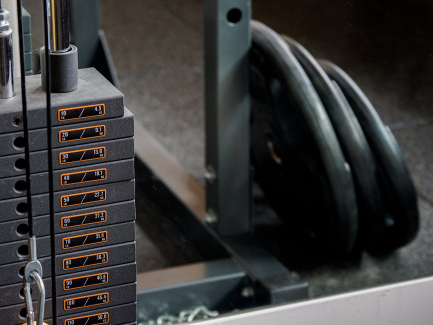 Best Squat Racks for Home Gyms: 6 Top Picks Reviewed