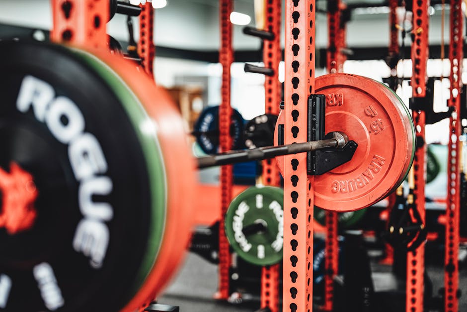 Squat Stand Buyer's Guide: Top Picks for Home Gyms