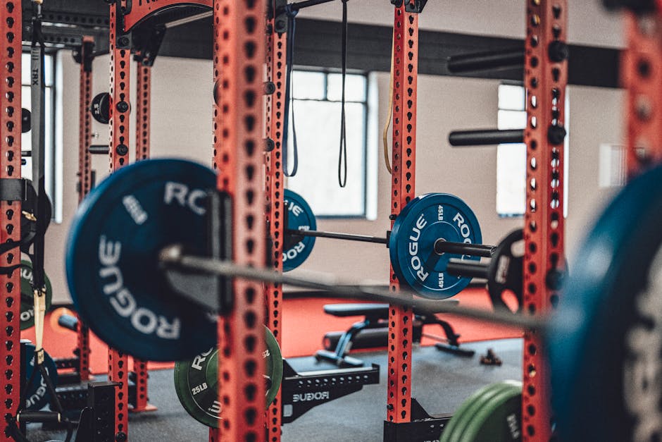 Rogue Squat Stand Alternatives: Buyer's Guide for Home Gyms